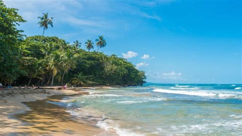 playa chiquita|[2024] Photos of Playa Chiquita Costa Rica (Caribbean) From Our ...